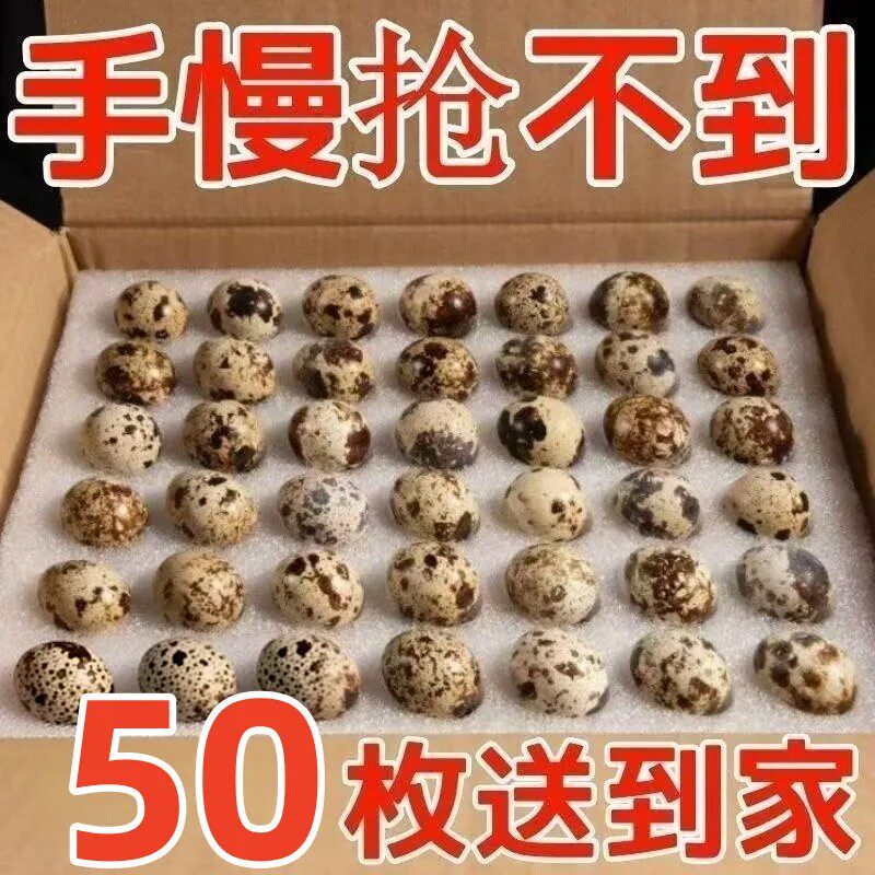 新鲜鹌鹑蛋杂粮喂养现捡现发【50枚】营养丰富口感细腻家禽蛋类