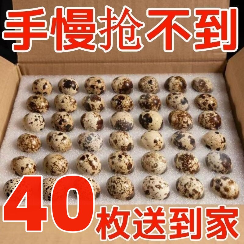 40枚生鹌鹑蛋新鲜批发散养喂养杂粮农家鹌鹑蛋带壳新鲜鹌鹑蛋