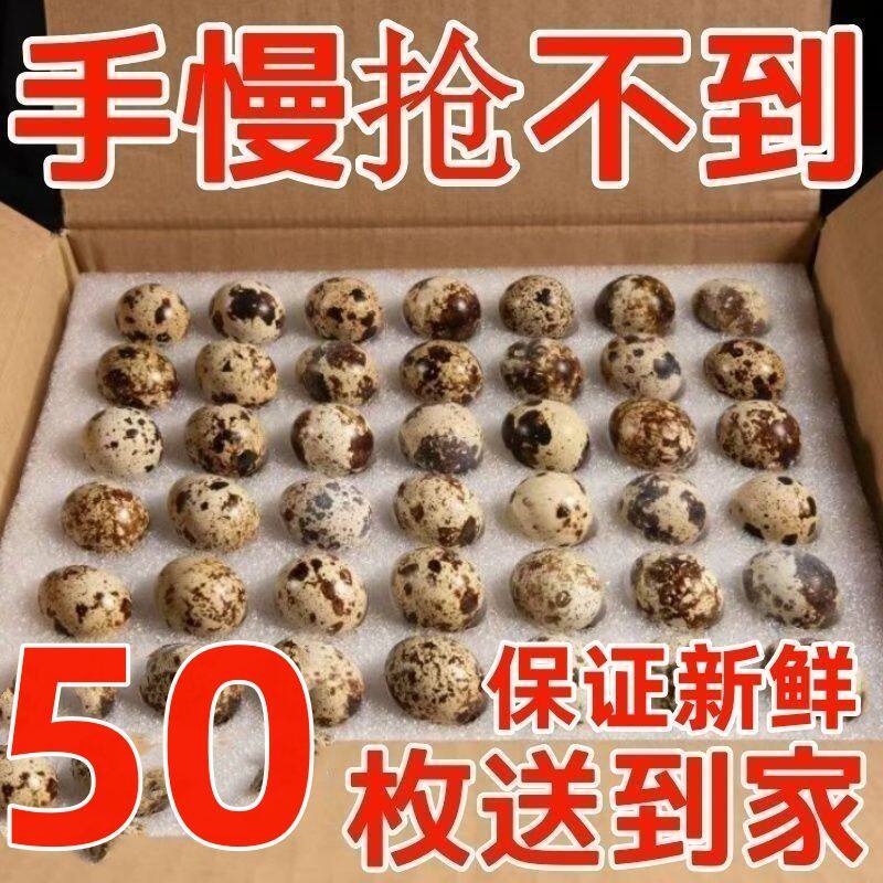 【新鲜鹌鹑蛋批发】杂粮蛋孕妇宝宝辅食鹌鹑蛋新鲜现捡现发生鲜
