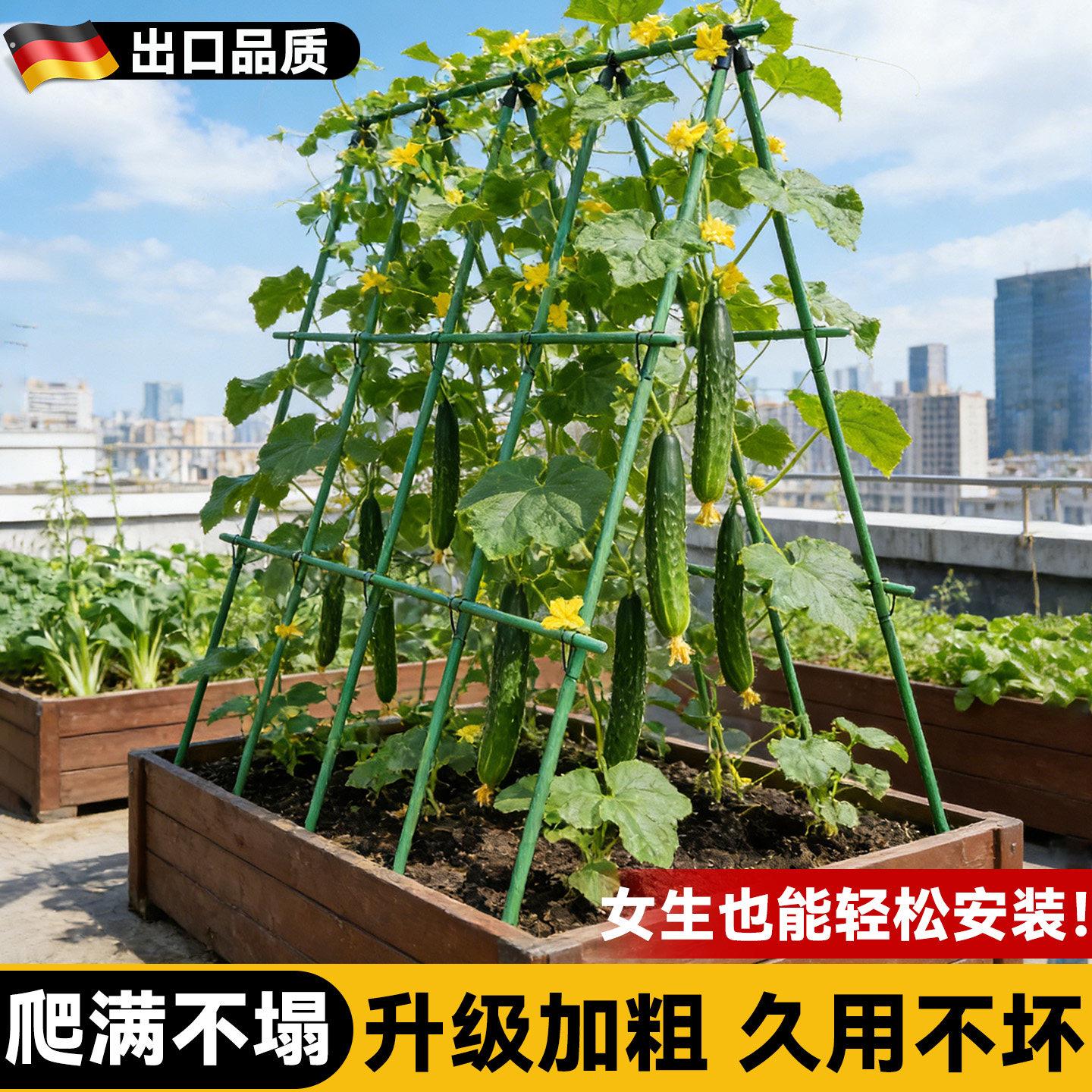 种菜架子爬藤架黄瓜豆角架杆庭院户外蔬菜丝瓜搭棚子支架固定撑杆