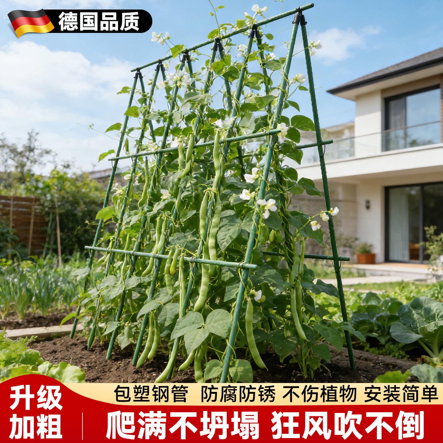 豆角搭架杆黄瓜爬藤架楼顶种菜架子葡萄架子庭院户外丝瓜搭棚支架