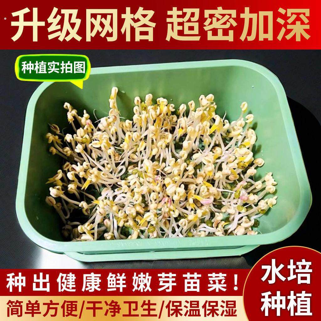发芽盆豆芽盆大号家用绿豆芽发豆芽神器食品级发豆芽神器超大