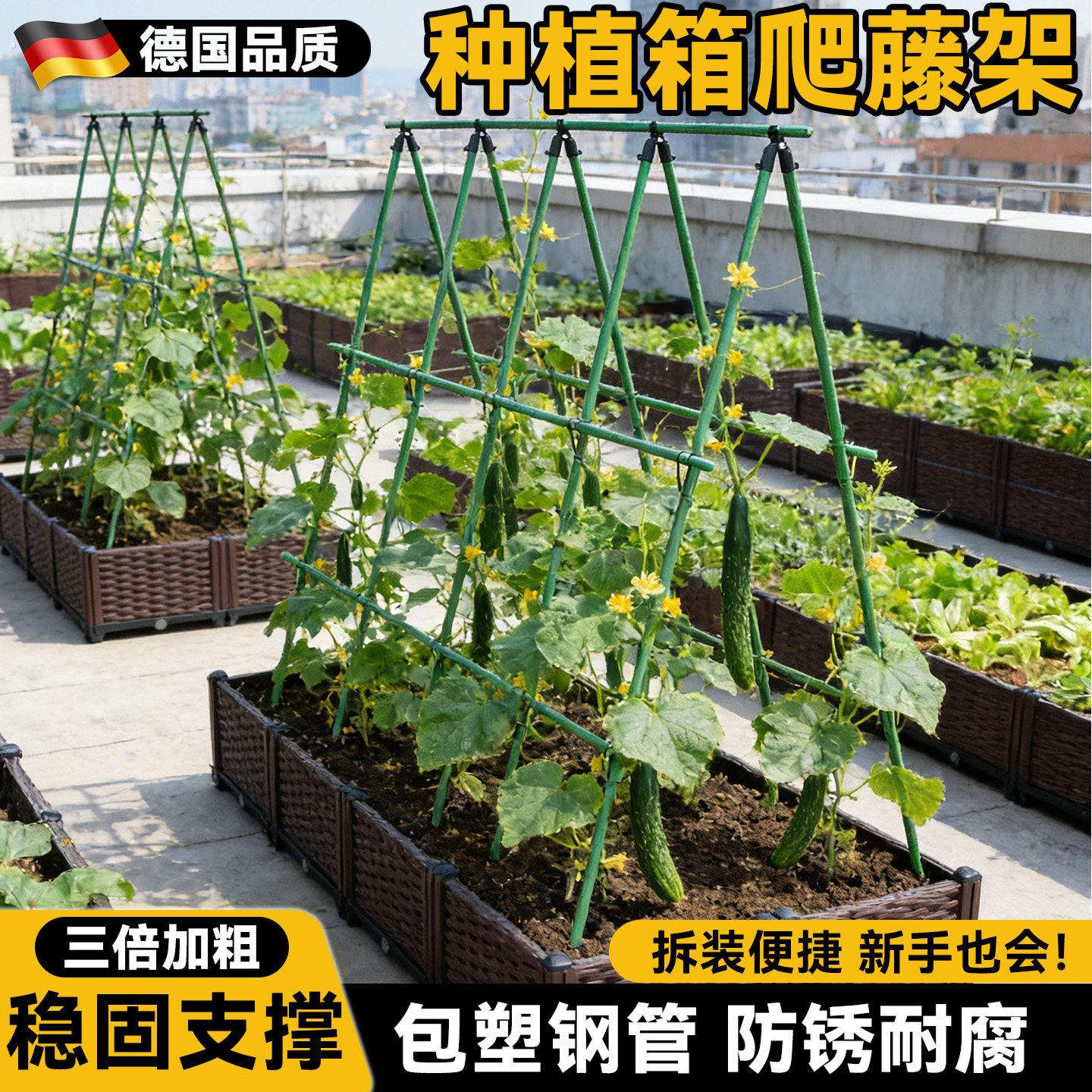 黄瓜爬藤架豆角架杆户外庭院植物支撑杆葡萄攀爬蔬菜瓜果种菜架子