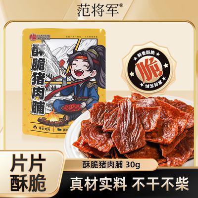 范将军酥脆猪肉脯原味30g袋装
