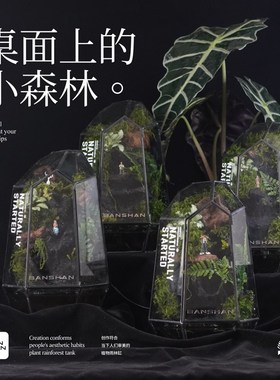 BANSHAN小森林流水桌面植物雨林缸家居网红小众定制摆件解压送礼