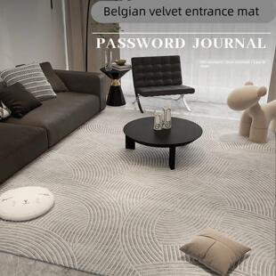 雅洁地毯客厅2025新款轻奢高级感沙发地垫免洗可擦灰色耐脏床边毯