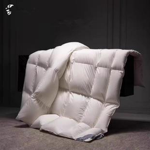 MINE/寐2025新款95%格陵兰白鹅绒厚被羽绒被芯 无垠 商场同款