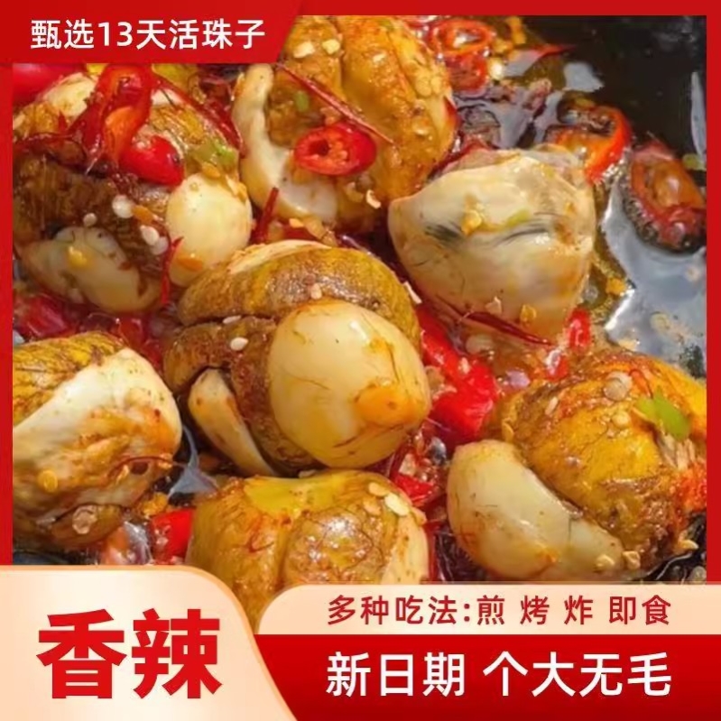 活珠子开袋即食香辣毛蛋13天新鲜熟鸡蛋胚五香凤凰蛋40枚钢化麻辣