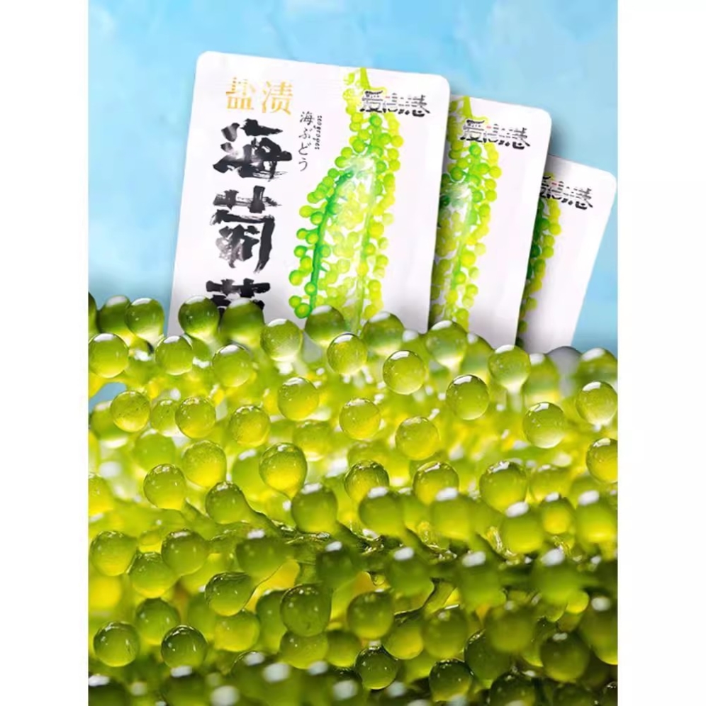 海葡萄儿童即食海葡萄植物鱼子酱海藻凉拌菜盐渍水葡萄爆珠浆海草