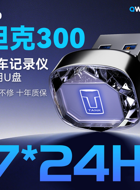 26款坦克300/400/Hi4-T/Z行车记录仪专用U盘哨兵优盘存储内存扩容