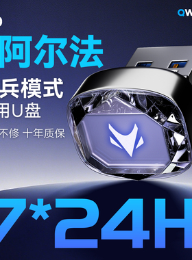 极狐阿尔法T5行车记录仪专用U盘哨兵模式汽车用品新车配件S5优盘