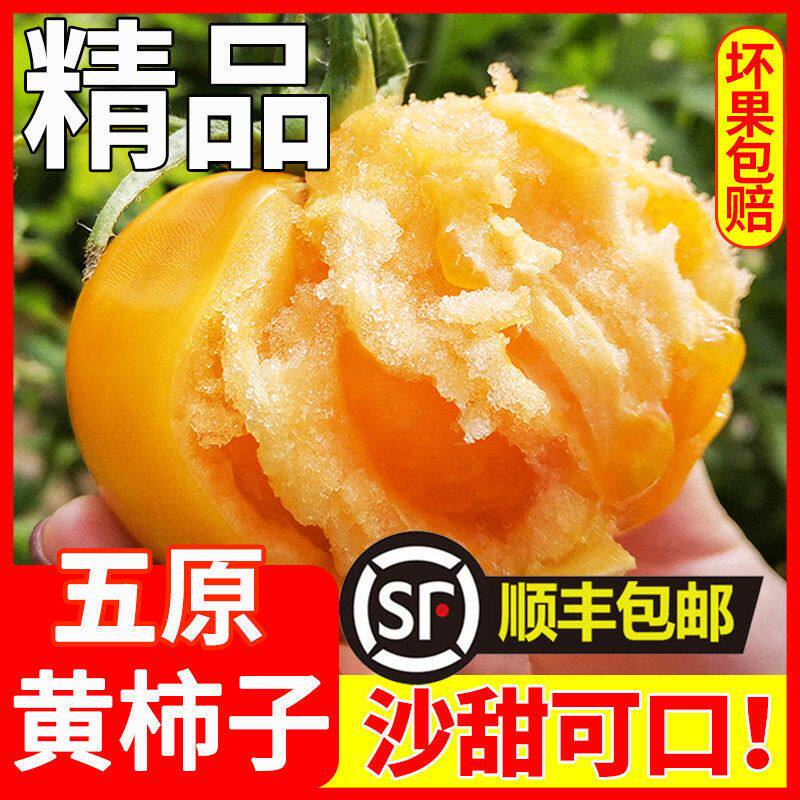 精品黄柿子内蒙古新鲜番茄沙甜可口顺丰包邮坏果包赔LXR
