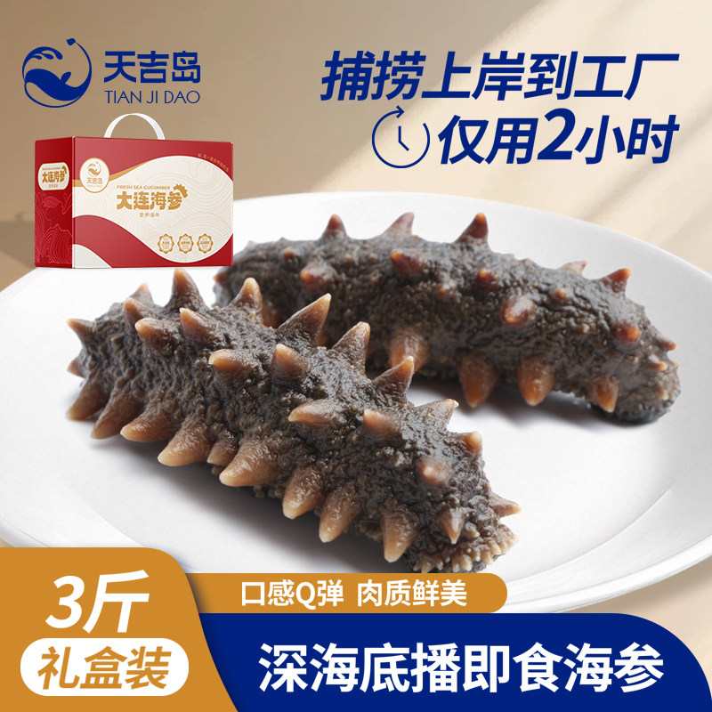 大连即食海参三斤辽刺参活海参冷链直达送礼盒滋补佳品天吉岛年货