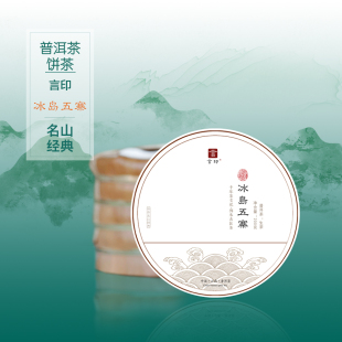 言印茶叶冰岛五寨普洱茶生茶饼