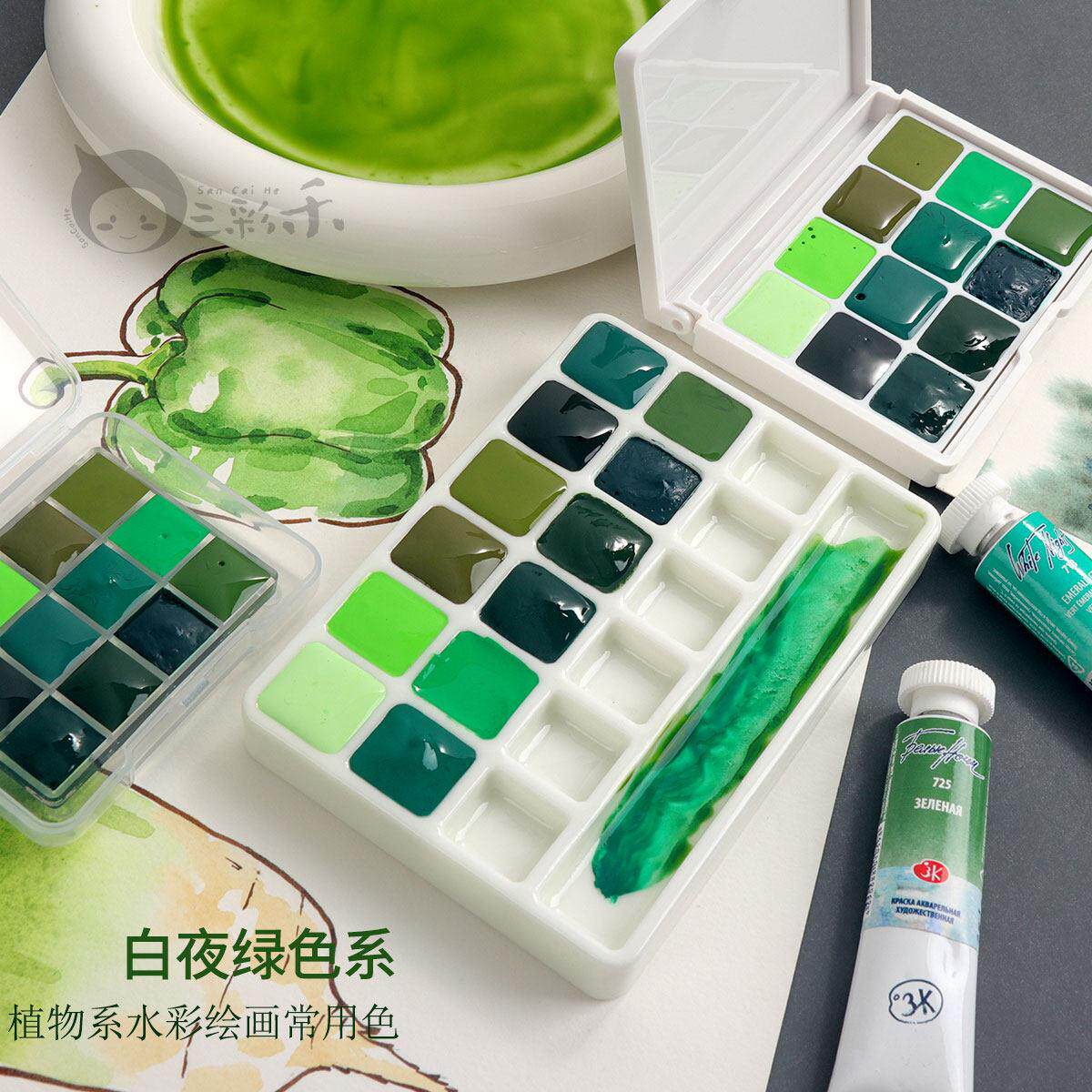 白夜水彩颜料分装固体全块管状大师级固体水彩植物美食绿色系水彩