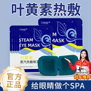 叶黄素眼罩蒸汽缓解眼疲劳热敷加热按摩护眼贴遮光助眠旅行睡眠手