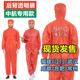 无尘服橙色连体后背口袋兜静电衣背标分体大褂中航红工作服