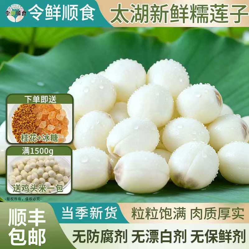 【太湖糯莲子】新鲜莲蓬苏州太湖2025新鲜现采摘顺丰包邮 - 实物图