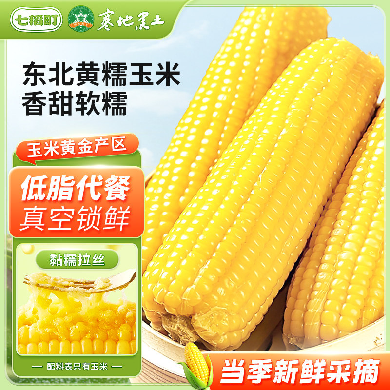 七稻町东北黄糯甜玉米真空装新鲜香甜糯玉米棒代餐大棒整支10支装