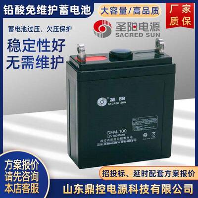 SACRED SUN圣阳6FTJ-100B前置端子阀控式密封胶体蓄电池12V90AH