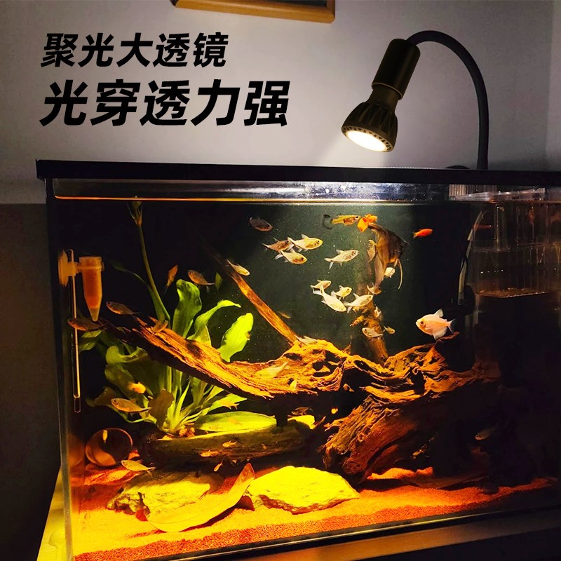 光联天下全光谱植物补光灯南美鱼缸原生溪流缸水草缸专用灯泡E27图片