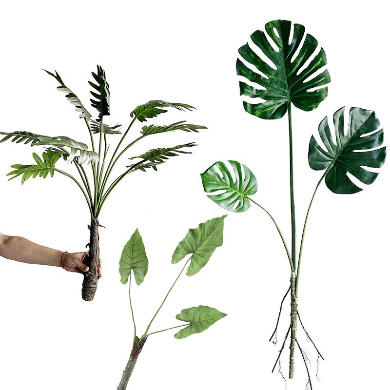 仿真龟背叶仙芋树滴水观音枝室内餐桌玻璃瓶绿植物叶投入摆放装饰