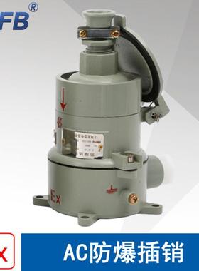 AC16A5芯防爆插销ExdeⅡCT6电流16A380V防爆插头直插斜插