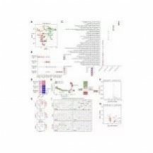 生信代码 R语言 Python代码出售 单细胞 转录组 应有尽有