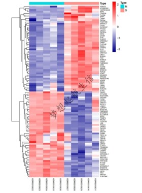 TCGA GEO数据库挖掘细胞测序转录组分析