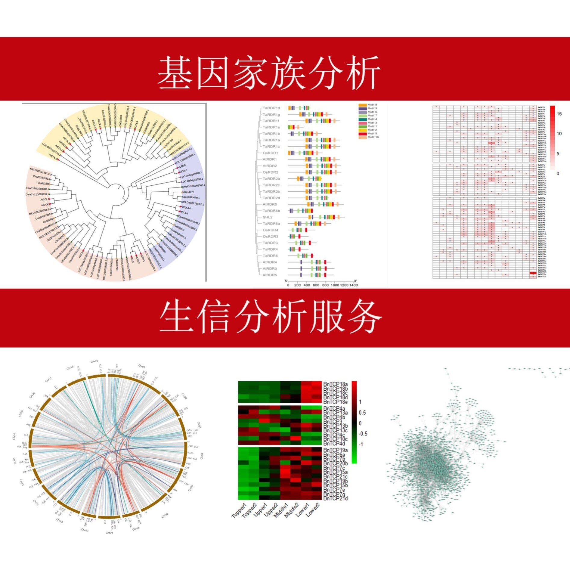 中复方网络理学服务单味全套生信分析定制分子对接核心靶点
