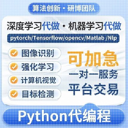 深度机器学习强化python代做程序医学图像处理代编写神经网络调试