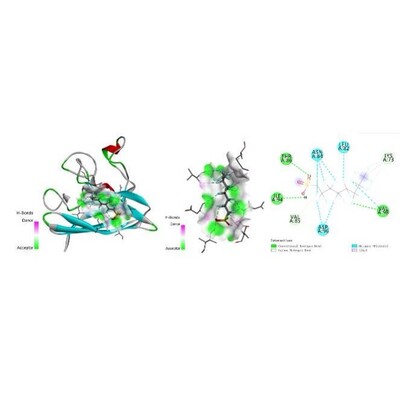 专业分子对接，2025持续接单中。虚拟筛选，动力学模拟