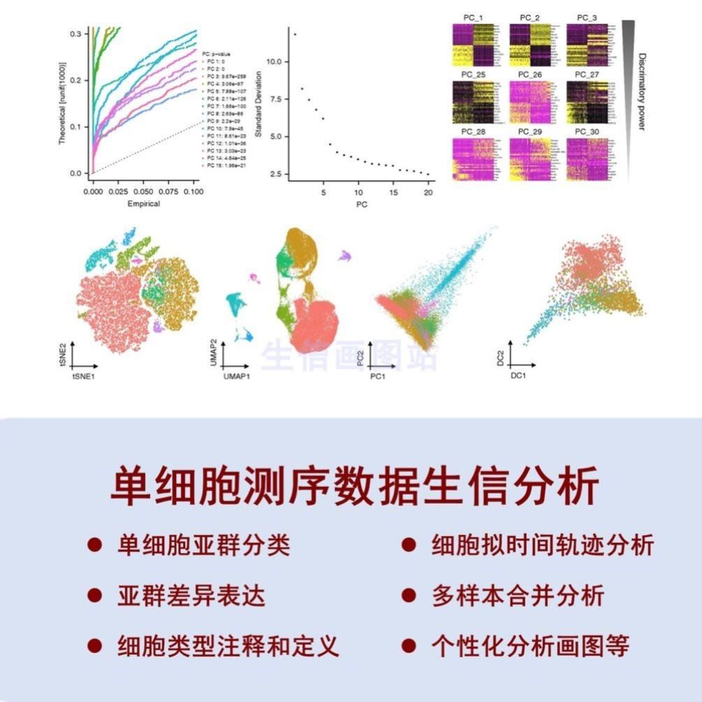 生信分析服务单细胞分析TCGA/GEO公共数据库挖掘分子对接基因分析