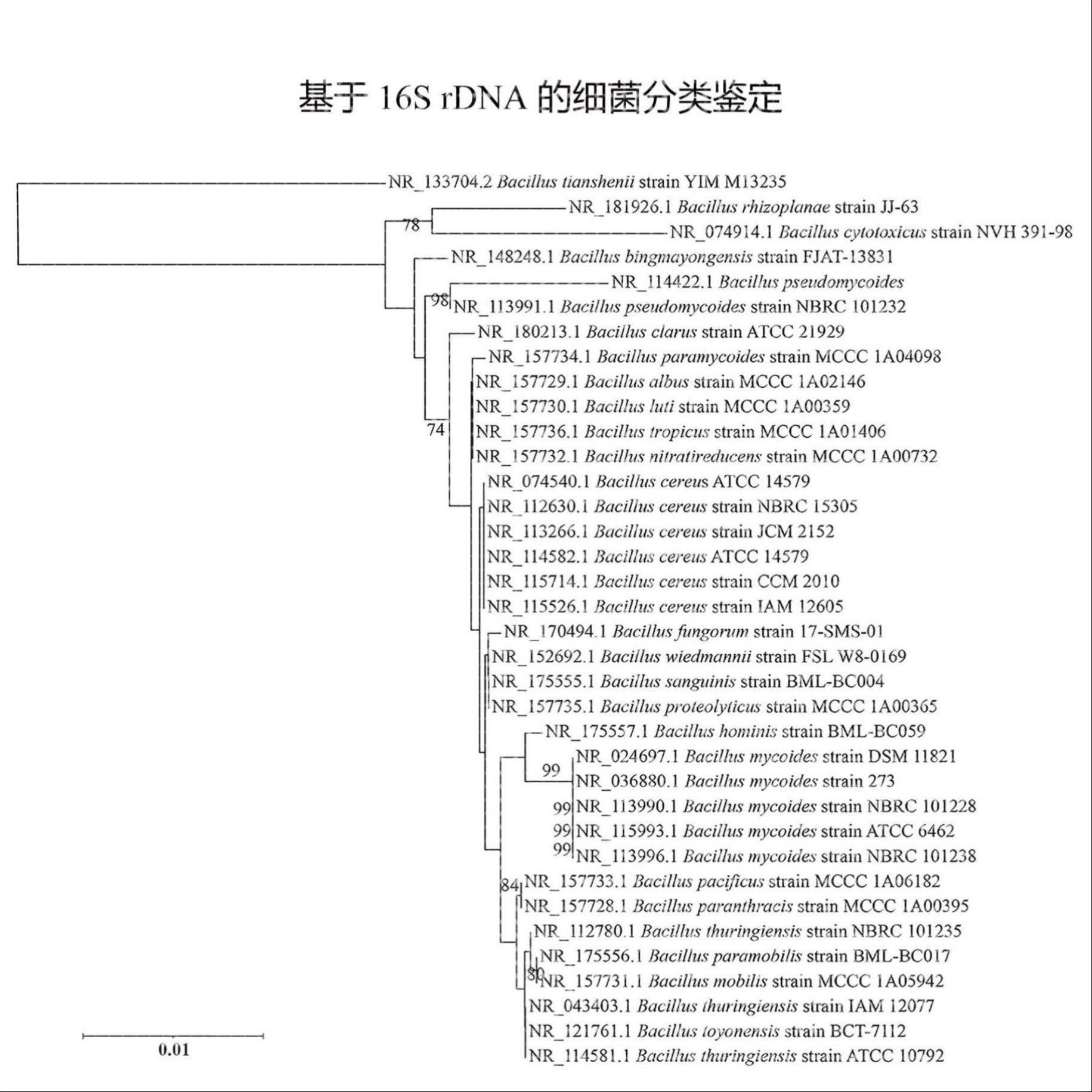 生信分析转录组学蛋白组学多组学联合分析生信分析网络理学服务