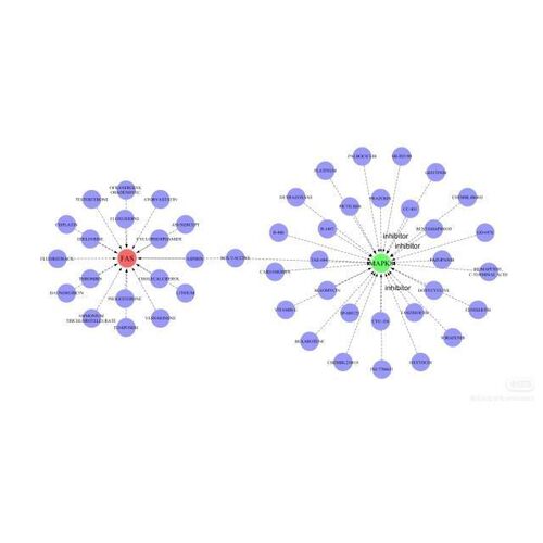 网络药理学 生信sic 中药复方分子对接GO/KEGG富集分析医学科研