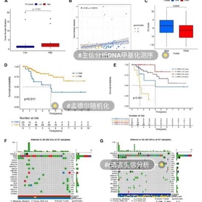 生信分析DNA甲基化测序生信分析R语言孟德尔随机化转录