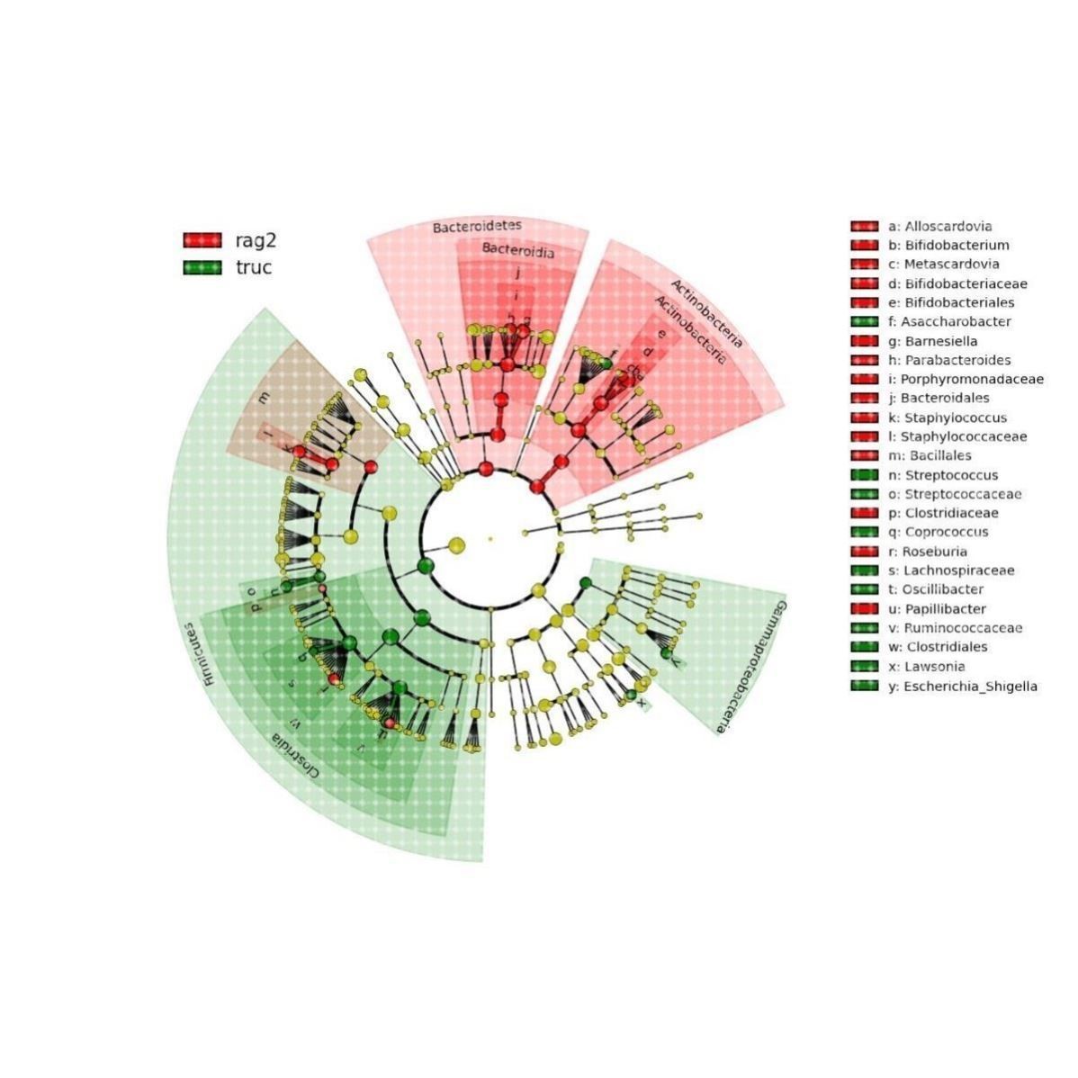 网络理学SCI文章发表视频教程选题预测物作用靶点验证实操全
