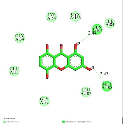 分子对接/虚拟筛选/辅导业务/可视化/discovery studio/Pymol