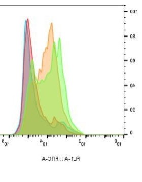 流式数据分析 1V1指导 flowjo教程，教学，图形优化 调节补偿
