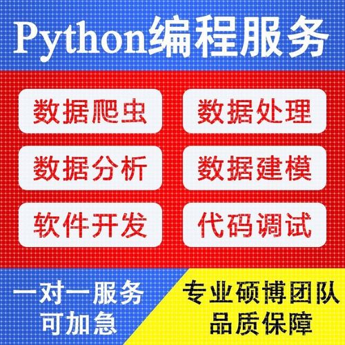 python代编程数据分析代做爬虫跑代码指导编写调试算法程序接单