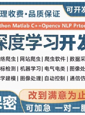 Python代编图像处理文字识别yolo接单halcon语义分割目标检测gan