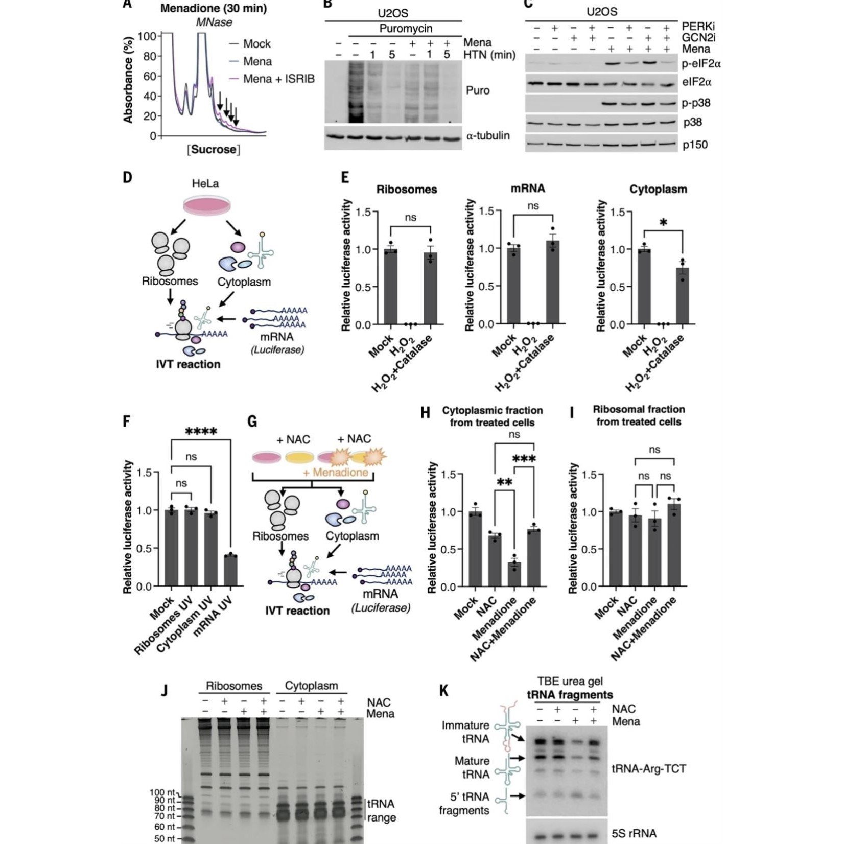 生信分析单细胞网络毒理学GBD挖掘