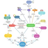 分子对接12分文章 SHAP分析 生信自学网网络毒理学 113种机器学习