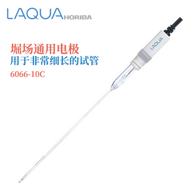 日本HORIBA堀场复合型氯化物离子选择性电极 通用电极6066-10C