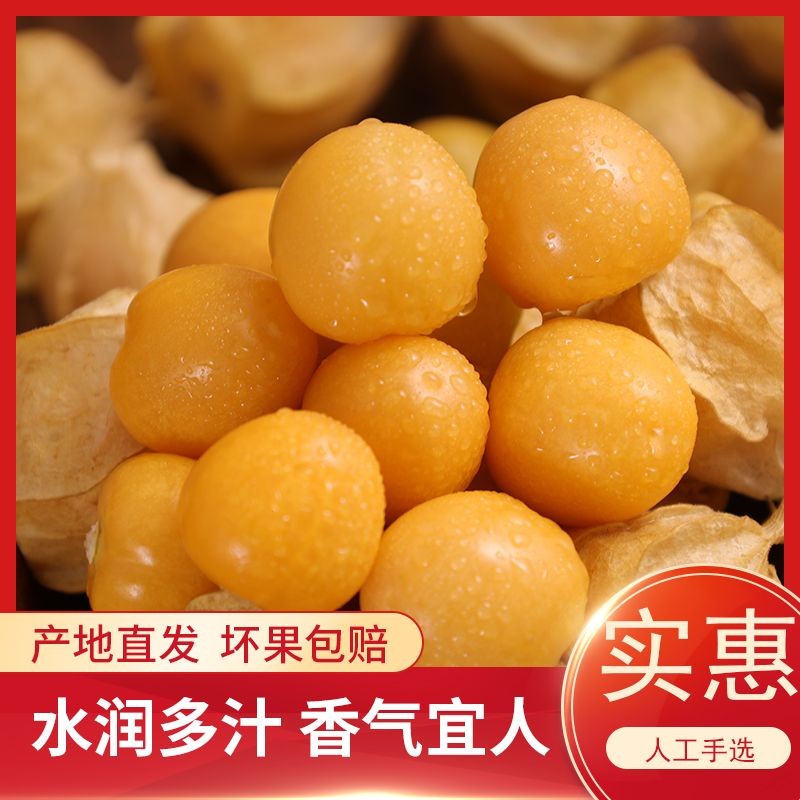 东北姑娘果菇娘果洋菇娘灯笼果香甜菇娘应季水果