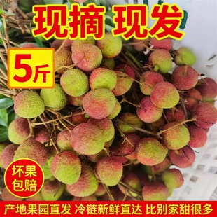海南妃子笑冷链发货当季荔枝产地直发新鲜整箱装现摘现发精选水果
