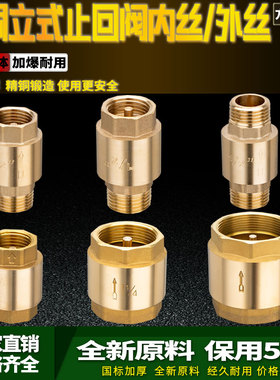 全铜内外丝止回阀4分6分1寸水管管道弹簧单向阀立式防反水逆止阀