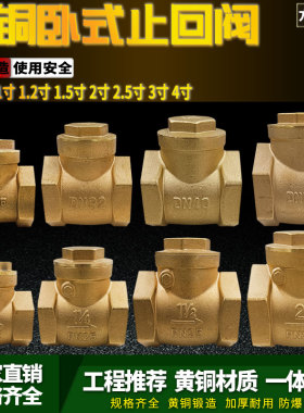 全铜止回阀铜卧式4分6分1寸水泵DN15水管20单向阀25阀门32 40 50
