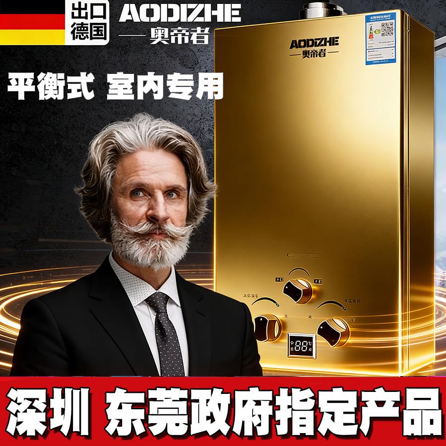 德国出口】平衡式燃气热水器家用天然气液化气煤气瓶铜水箱