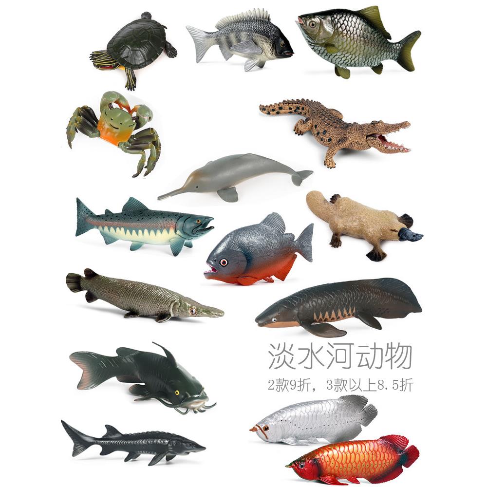 两个打折内陆河动物淡水鱼巨骨舌鱼鳄雀鳝仿真小模型儿童认知玩具